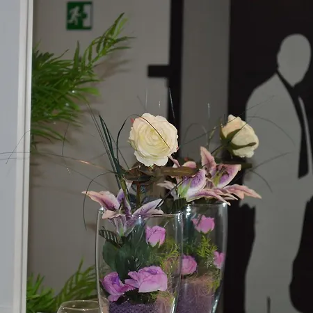 Проживание в семье Sinuessa