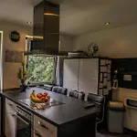 Sinuessa Cologne